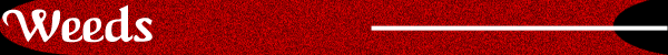 Weeds Banner